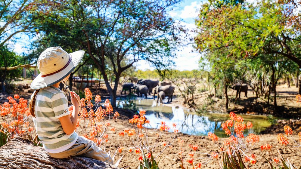 Přespání s gepardy i slony. V Británii otevřeli unikátní safari hotel